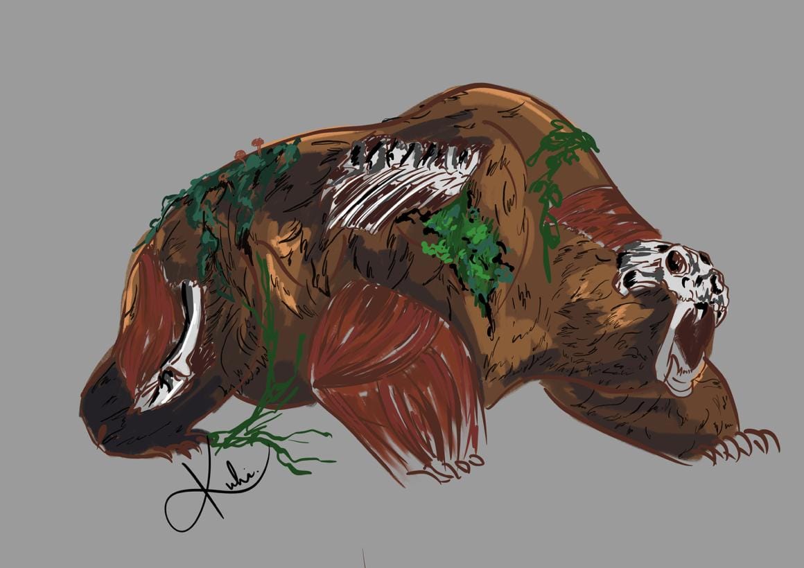 WhatsApp Image 2025-09-17 at 7.45.17 PM-2